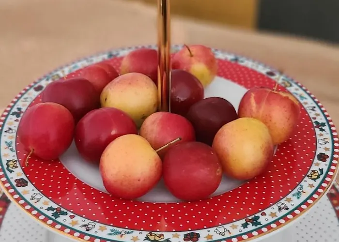 Apartment Emi's Tirana